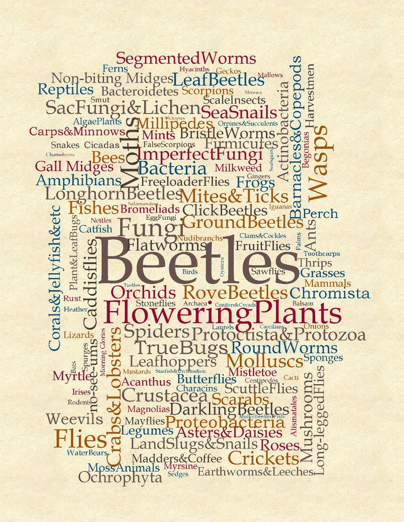 Illustration for article titled Meet the 20,000 new species we discovered in a single year